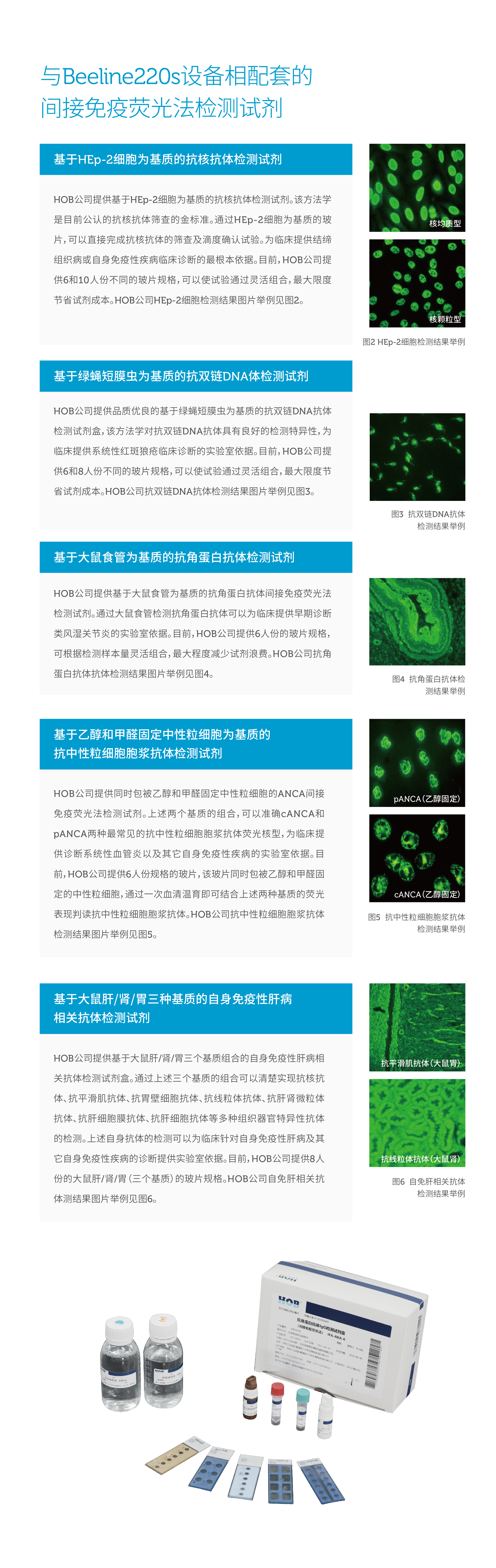 HOB-网站-12.jpg